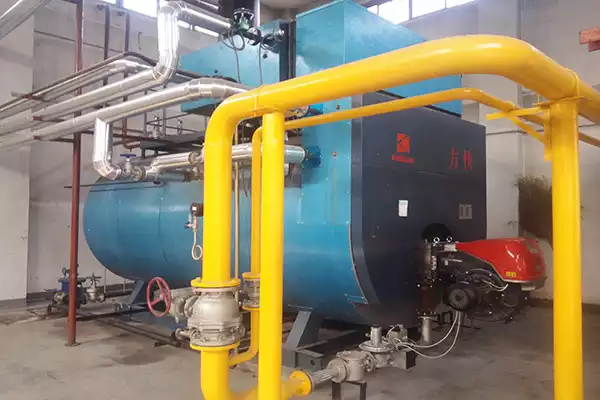 Coal-fired hot water boiler